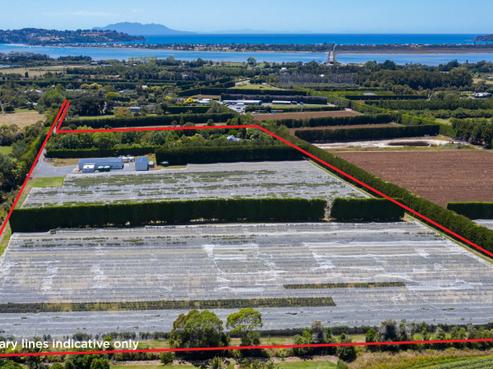 242A Omaha Flats Road, Tawharanui Peninsula