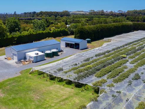 242A Omaha Flats Road, Tawharanui Peninsula