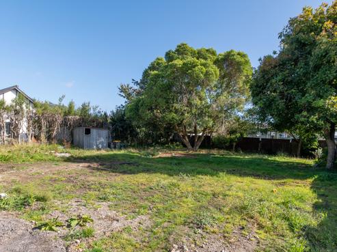 19B Frank Street, Koutu