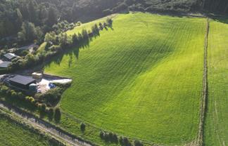 250B Tirohanga Road, North Taieri, Mosgiel