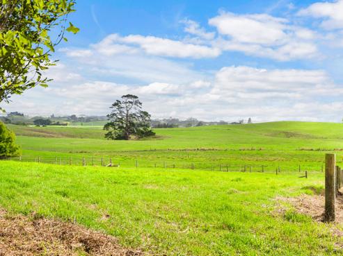 146 Butchers Bridge Road, Otaua