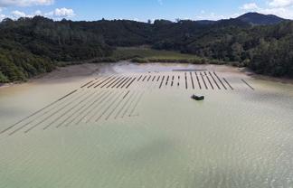  Waikare Inlet, Opua