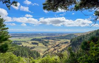 115 Kaitawa Road, Hautere