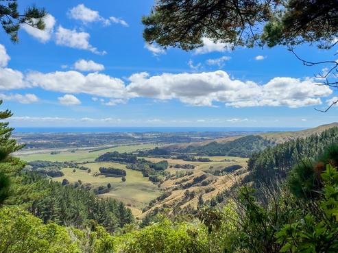 115 Kaitawa Road, Otaki