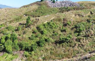 210 Mangamaire Road, Dannevirke