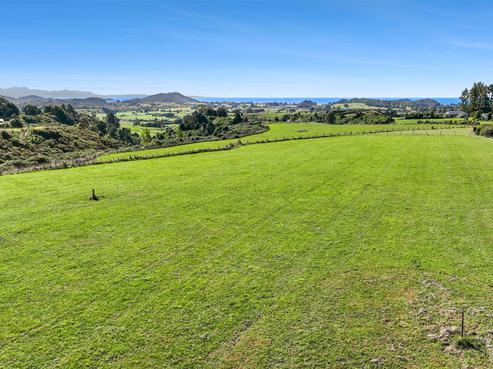 333 Packard Road, Motupipi