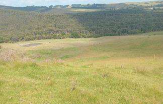 Lot 1/36 Te Moho Road, Taipa