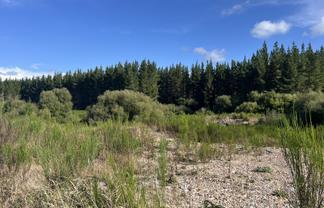 Lot ., Red Jacks Road, Ngahere