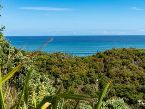 13 Bayly Street, Dargaville Surrounds