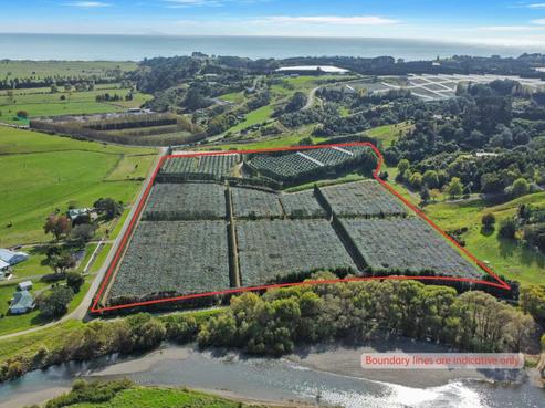 155A Gow Road, Opotiki and Surrounds