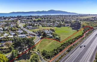 Opportunity in the Heart of Raumati