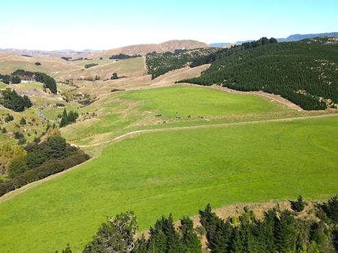 933 Oporae Road, Dannevirke