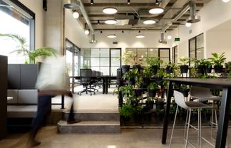 Existing Fit-Out ! Ground Floor Service