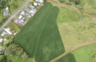 69 Overdale Road, Putaruru