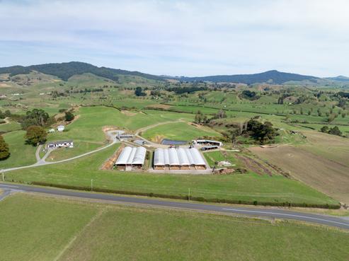 231A Morgan Road, Matamata