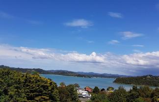 Freehold Investment Opportunity with Options