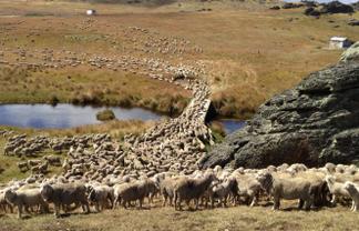 1109 Little Valley Road, Alexandra