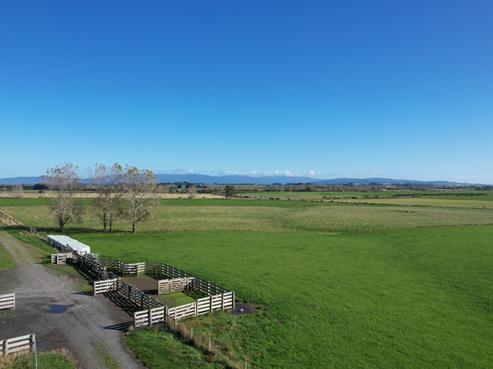 488 Thornbury Waimatuku Road, Thornbury