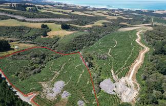 530 Taieri Beach Road, Taieri Beach