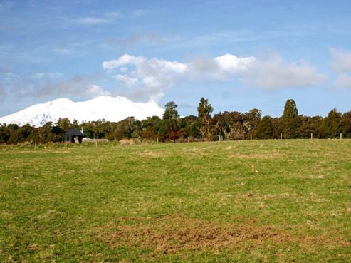 8 Horopito Heights, Ohakune