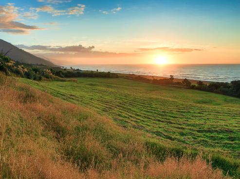 672C Nikau Road, Seddonville