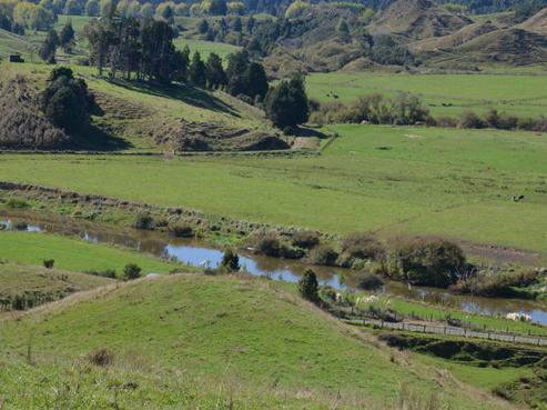 814 Awakau Road, Mokau
