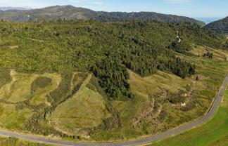 40Ha Block State Highway 67, Mokihinui