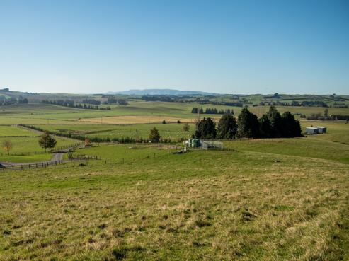 89C McKinnon Road, Gore Surrounds