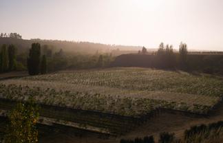 376 Ram Paddock Road, Waipara