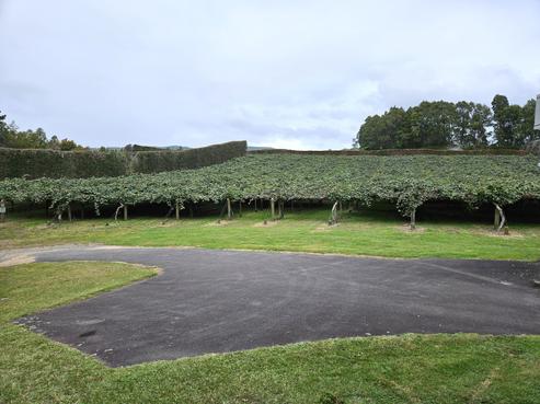 1395 No 3 Road, Te Puke