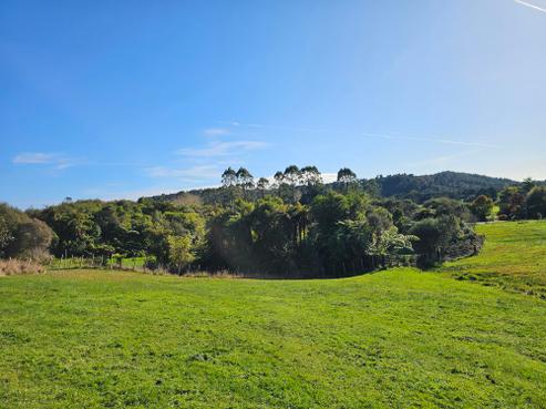 374 Rutherglen Road, Marsden