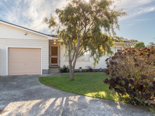 11B Waddington Drive, Naenae