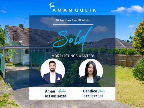 20 Tasman Avenue, Mount Albert