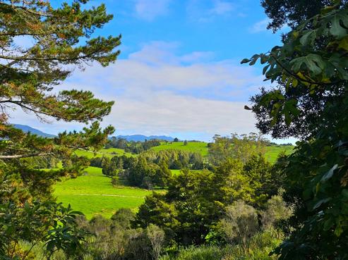 334 Otaua Road, Kaikohe West