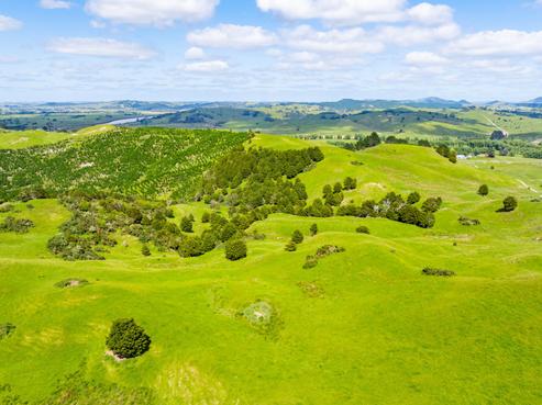 162 Tangowahine Valley Road, Dargaville Surrounds