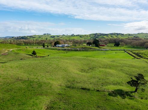 184 Tangowahine Valley Road, Dargaville Surrounds