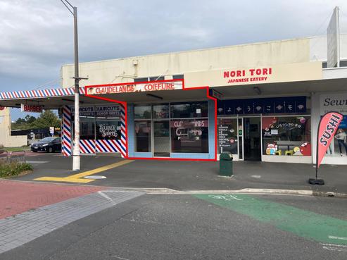 705 Grey Street, Hamilton East