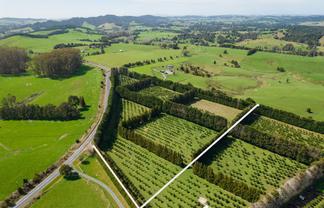 908A Te Ahu Ahu Road, Waimate North, Kerikeri