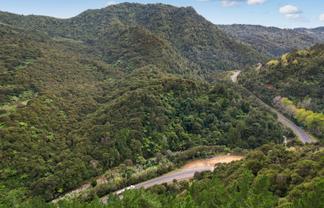 495 Kopu Hikuai SH 25A, Thames