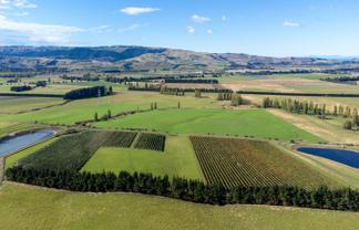 337 Mackenzies Road, Waipara