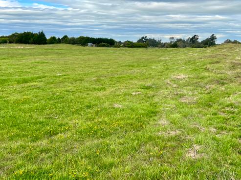 28 Flaxmill Way, Otatara