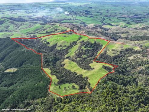 430 North Road, Mangatarata