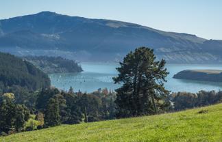 240 Purau Port Levy Road, Purau