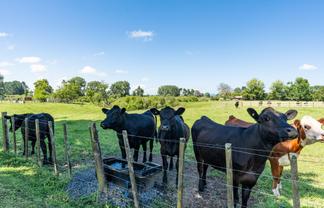 449 Ngaruawahia Road, Te Kowhai