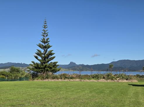 137 Kelly Jade Avenue, Matarangi