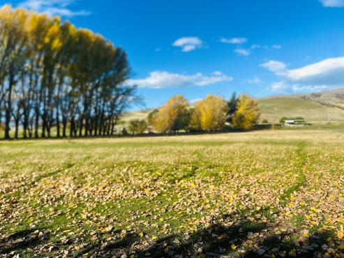 779 Ardgour Road, Tarras
