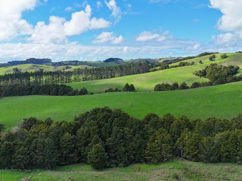 271 Otioro Road, Topuni