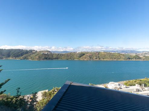 5 Akautangi Way, Hataitai