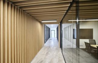 CBD professional offices