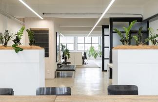 Industrial style character suite in CBD